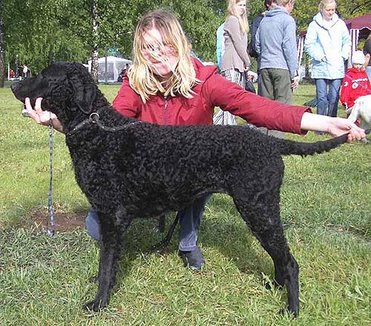 Gypsy's Soul Estella